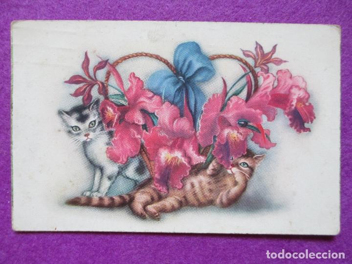 Cartoline: POSTAL,  GATOS, GATITOS, P86