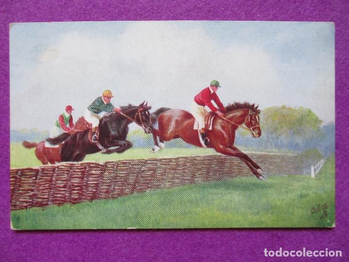 Cartoline: POSTAL, HIPICA, CABALLOS, P88