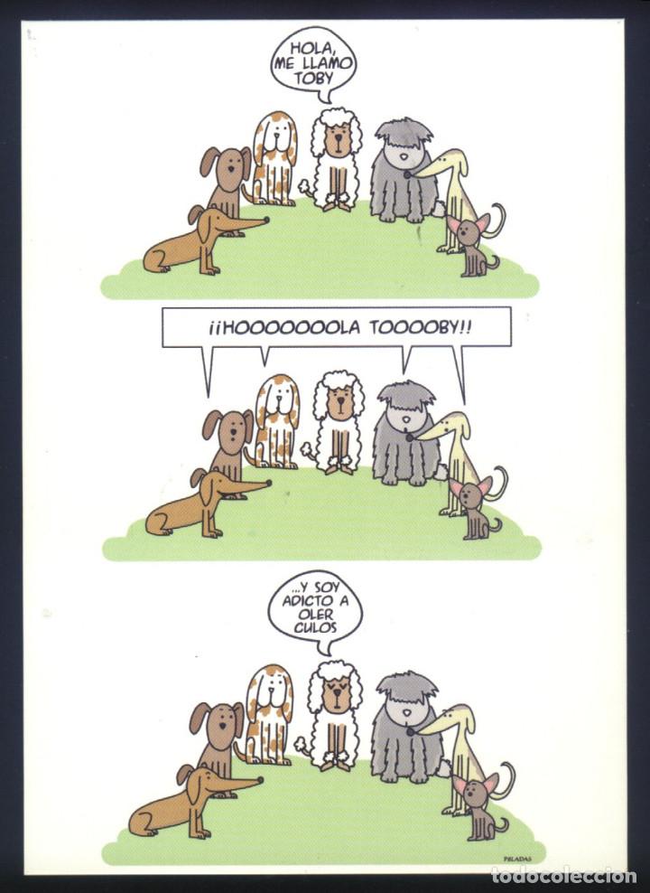 Postkarten: A-5319- POSTAL CON DIBUJO.