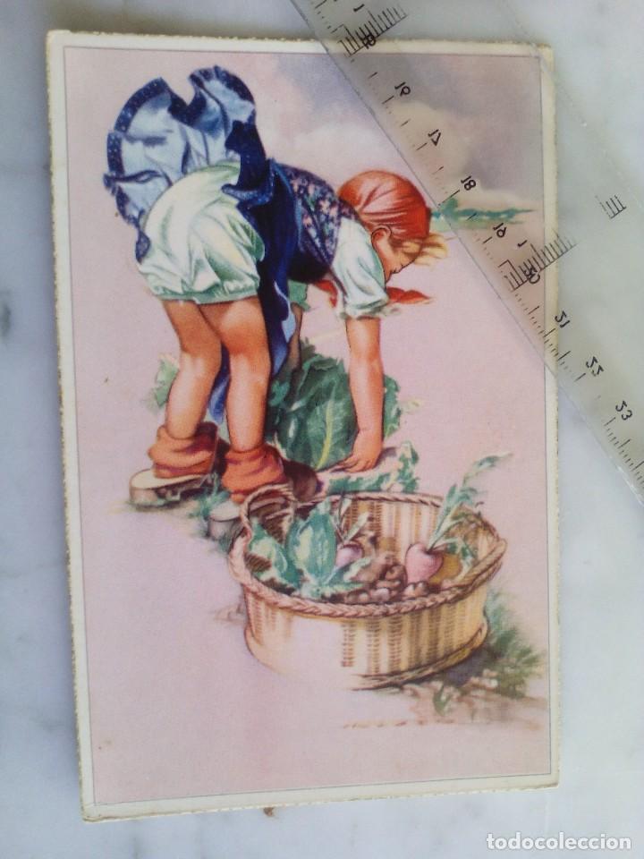 Cartoline: bonita postal ni&ntilde;a recogiendo hortalizas e.d.colon - 620/6