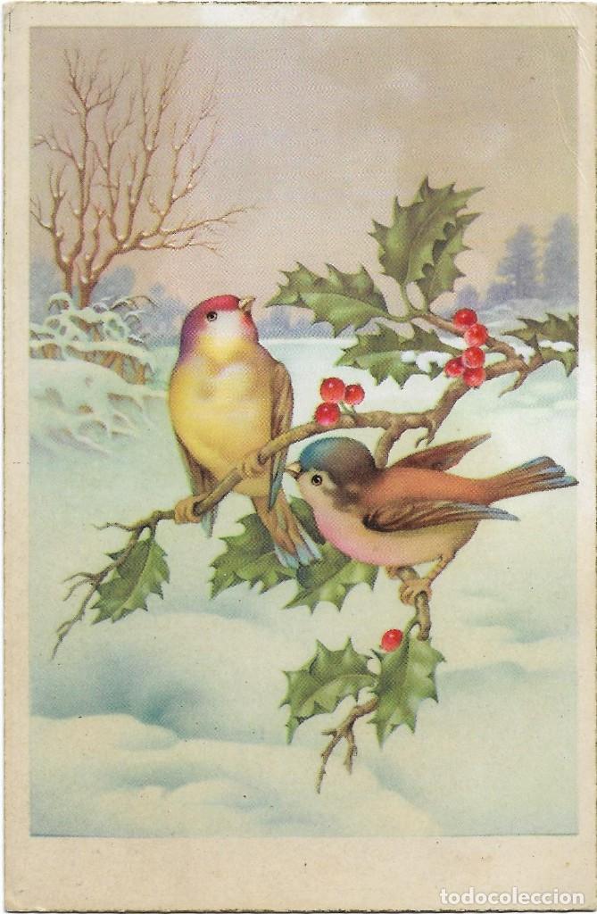 Postcards: POSTAL EDICIONES CYZ 592