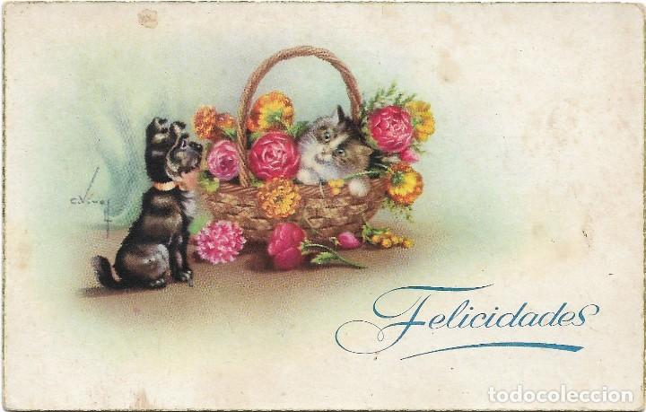 Postkarten: POSTAL EDICIONES CYZ SERIE 599 / ILUSTRA C. VIVES / FELICIDADES