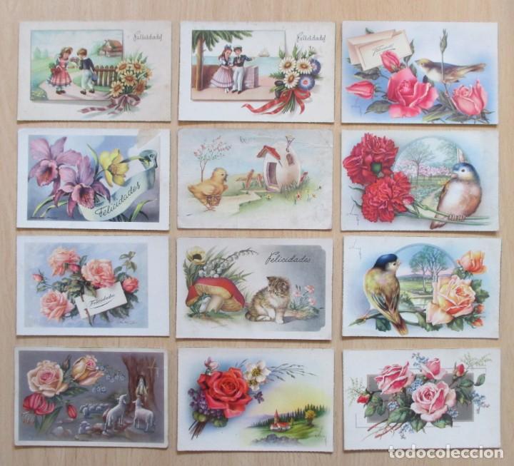 Postales: Lote de 24 tarjetas postales antiguas (flores &ndash; felicitaciones) CyZ diversas series
