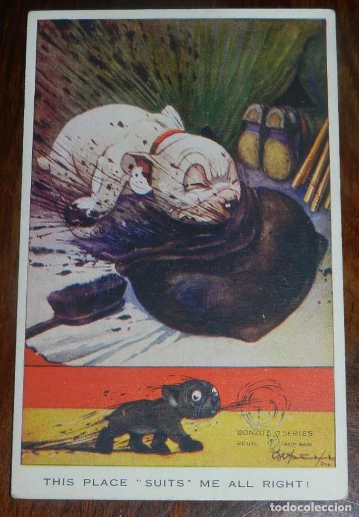 Cartoline: POSTAL DEL PERRO BONZO, ILUSTRACION GEORGE STUDDY, ED. VALENTINE&acute;S  N. 991, NO CIRCULADA.