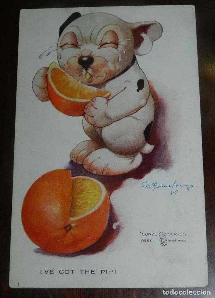 Postais: POSTAL DEL PERRO BONZO, ILUSTRACION GEORGE STUDDY, ED. VALENTINE&acute;S  N. 1075, NO CIRCULADA.