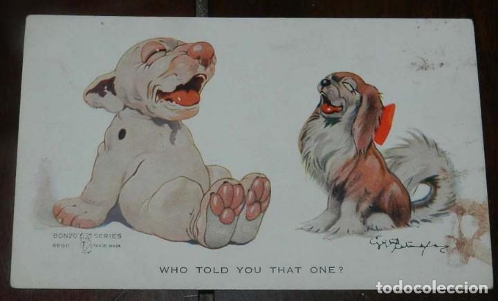 Postais: POSTAL DEL PERRO BONZO, ILUSTRACION GEORGE STUDDY, ED. VALENTINE&acute;S  N. 997, NO CIRCULADA.