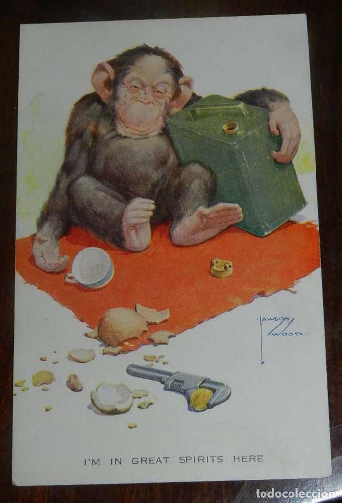 Cartes Postales: POSTAL ILUSTRADA CON CARICATURA DE ESCENA DE MONO, ILUSTRADA POR JAWSON WOOD. NO CIRCULADA.