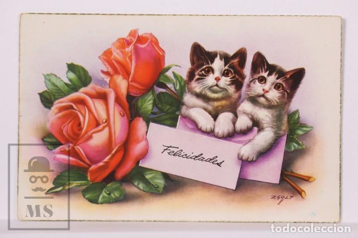Cartoline: Postal Ilustrada por Zsolt - Rosas y Gatitos. Serie 2307 A - Escrita al Dorso - A&ntilde;os 50