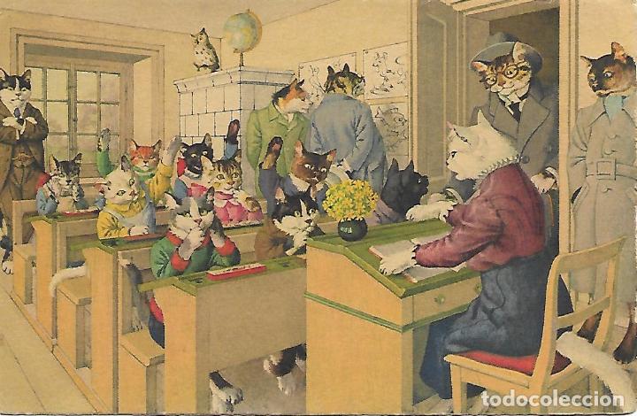 Postais: ESCUELA DE GATITOS (FECHADA EN 1965)