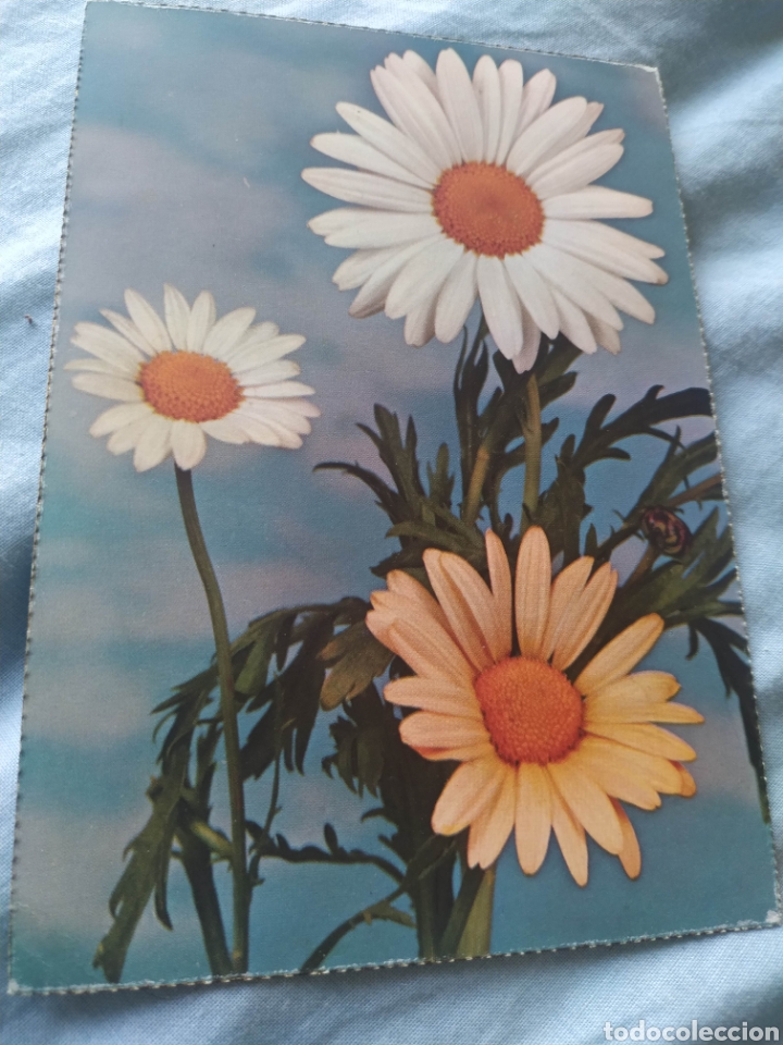 Postais: Postal targeta postal antigua escrita Flores y plantas Margarita