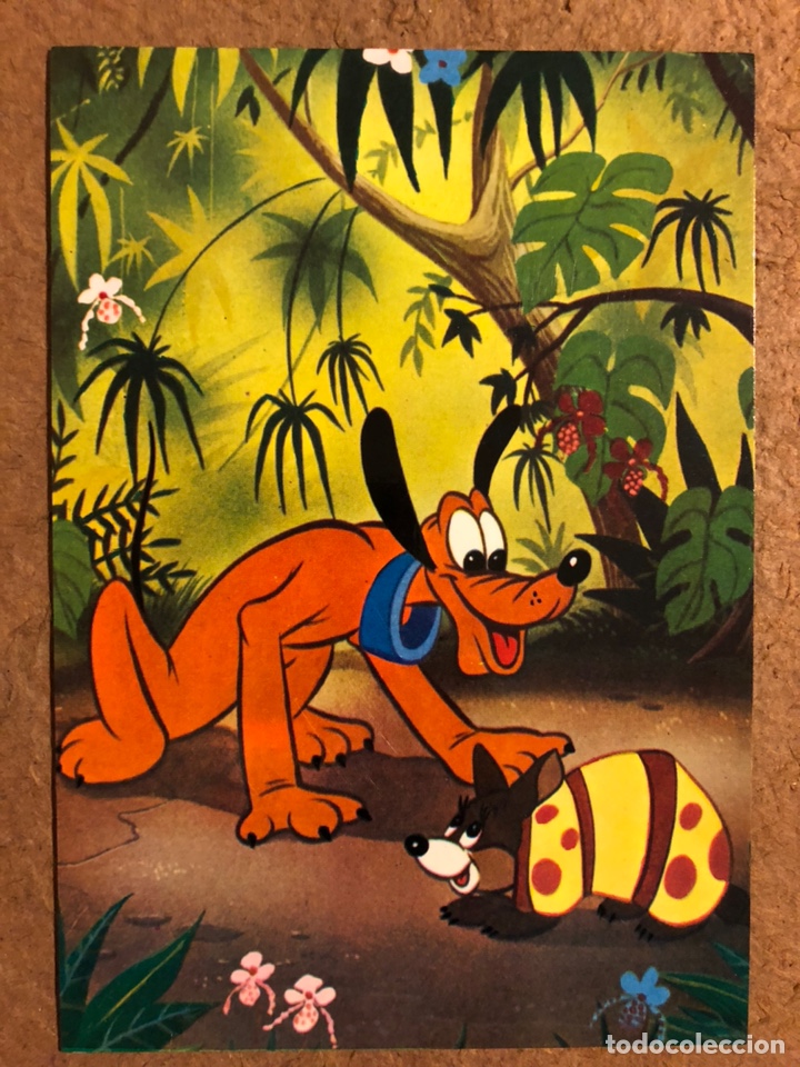 Postkarten: PLUTO. ANTIGUA POSTAL SIN CIRCULAR WALT DISNEY.