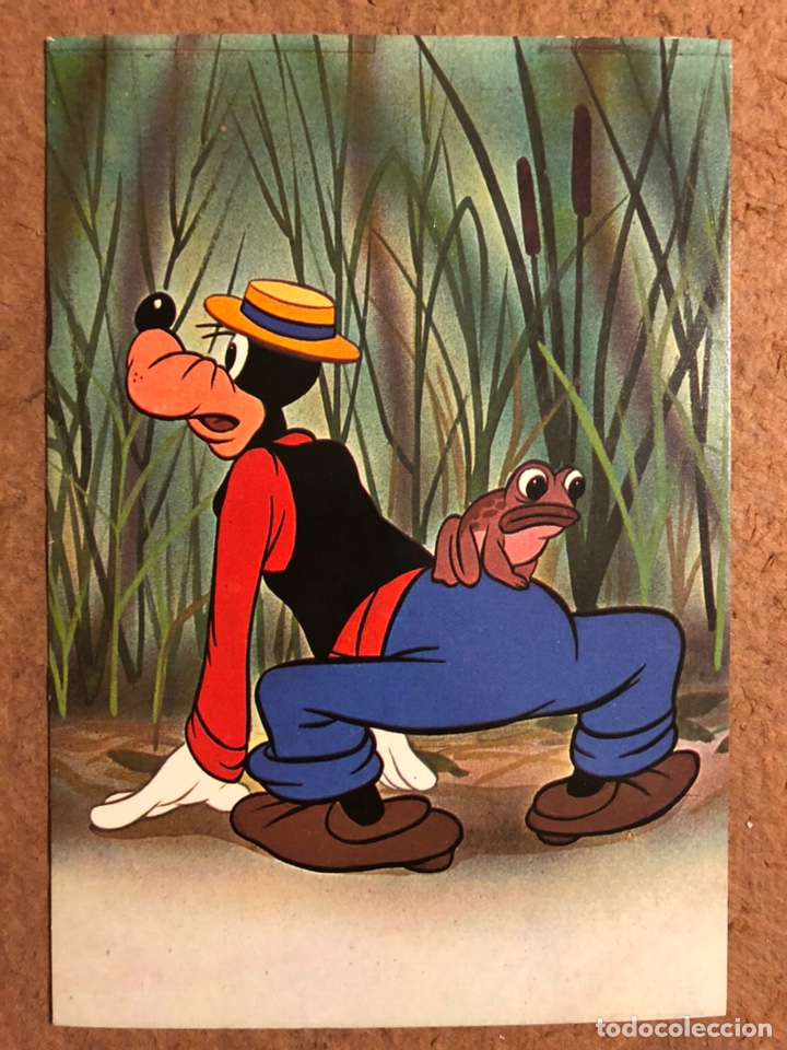 Cartoline: GOOFY. ANTIGUA POSTAL SIN CIRCULAR WALT DISNEY.