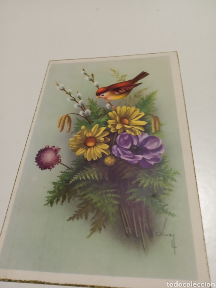 Postais: Postal p&aacute;jaro flores