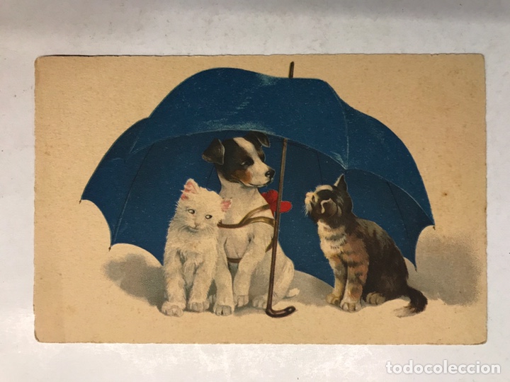 Cartoline: DIBUJOS Y CARICATURAS. Hermosa Postal Alemana. Ilustra: FITS? (h.1910?) S/C