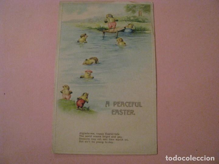 Postcards: POSTAL DIBUJO. REINO UNIDO. A PEACEFUL EASTER. FELICES PASCUAS. UNA PASCUA PAC&Iacute;FICA. CIRCULADA. 1914