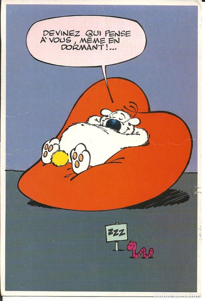 Postcards: POSTAL OSO *ADIVINA QUIEN PIENSA EN TI, MIENTRAS DUERMES...*