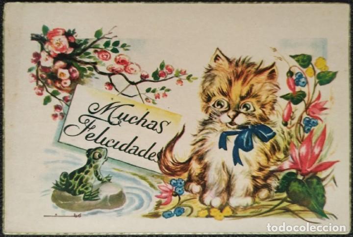 Cartoline: 0730S - NIUB&Oacute; - PRECIOSO GATITO DE ANGORA - EDICIONES E.R. 107 (PROPIEDAD ARTISTICA RESERVADA