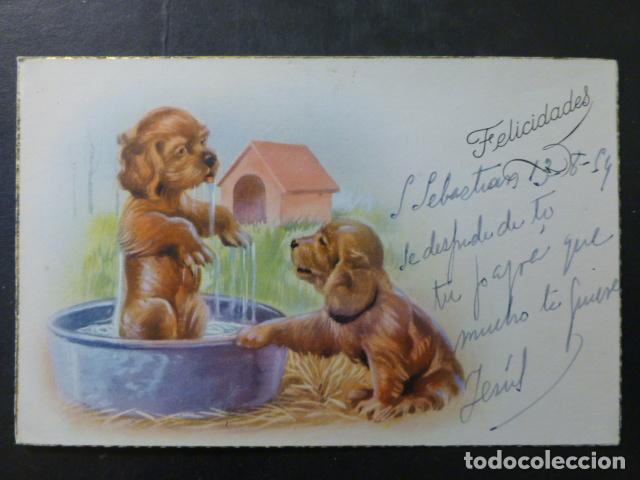 Postales: PERROS POSTAL ILUSTRADA - Foto 1