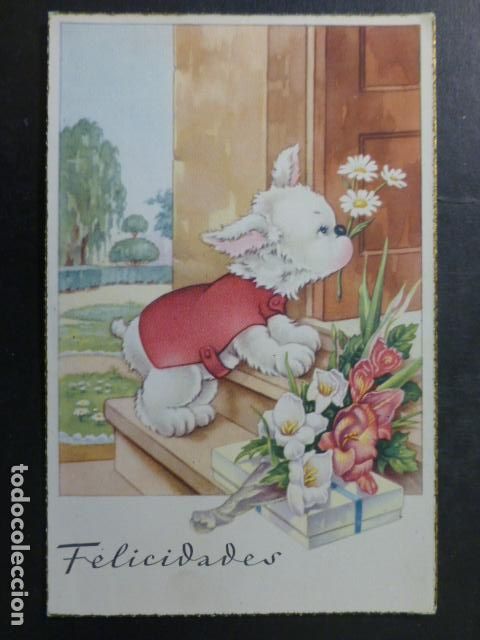 Postales: PERRO POSTAL ILUSTRADA - Foto 1