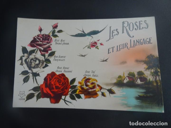 Postais: POSTAL ILUSTRADA , SIN CIRCULAR, VER FOTOS