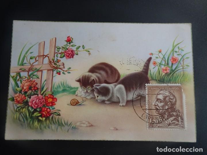 Postais: POSTAL ILUSTRADA , C Y Z, CIRCULADA , VER FOTOS