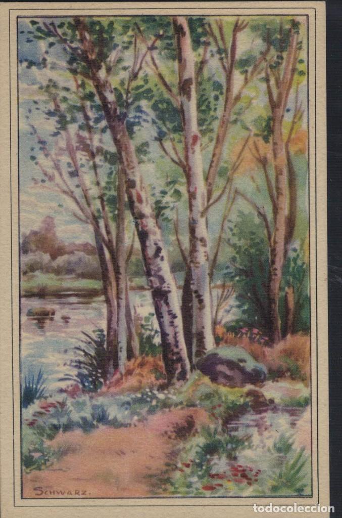 Postkarten: Postal antigua sin circular. Pintura Paisaje Schwarz. Bosque. R&iacute;o. / F&eacute;nix. Serie 3001