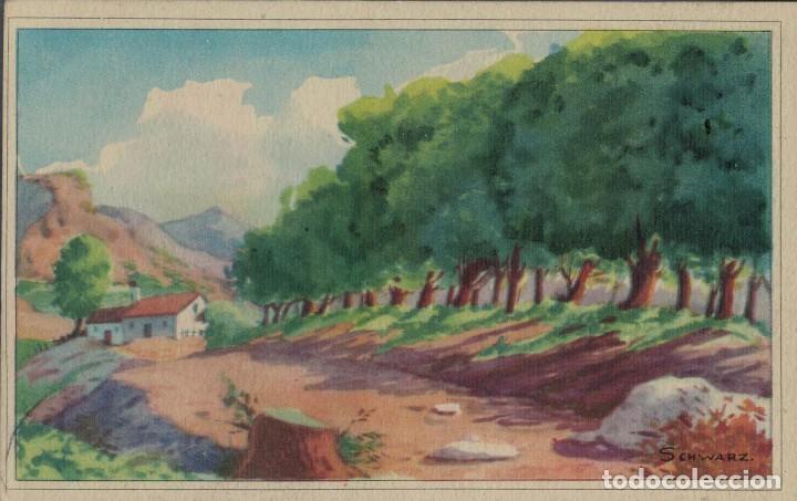 Postais: Paisaje. Ilustrador Schwarz. Fenix Serie 3005. Circulada
