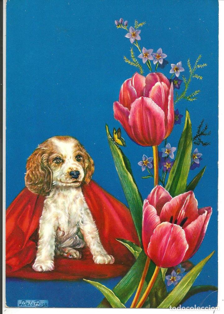Postais: POSTAL *DELA ROSA* - PERRITO MIRANDO LA MARIPOSA, TULIPANES - CYZ 6619 - A&Ntilde;O 1967