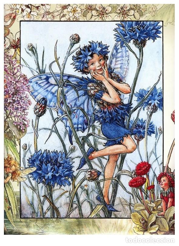 Postcards: 7360B -CICELY MARY BARKER- HADA DE LAS FLORES (FLOWERS FAIRIES) CODE PC 6B3 -14,5x10,3 CM - NUEVA
