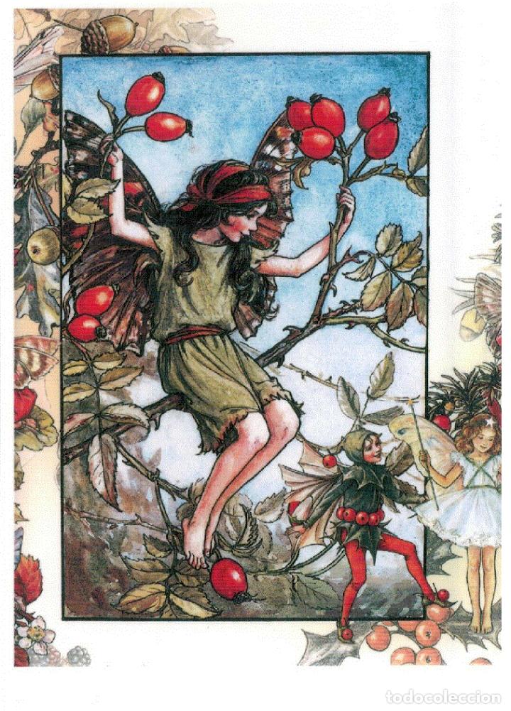 Postcards: 7360B -CICELY MARY BARKER- HADA DE LAS FLORES (FLOWERS FAIRIES) CODE PC 6B6 -14,5x10,3 CM - NUEVA