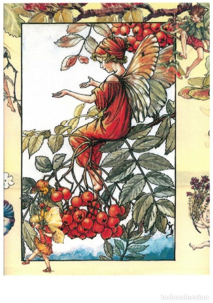 Postcards: 7360B -CICELY MARY BARKER- HADA DE LAS FLORES (FLOWERS FAIRIES) CODE PC 6B8-14,5x10,3 CM - NUEVA