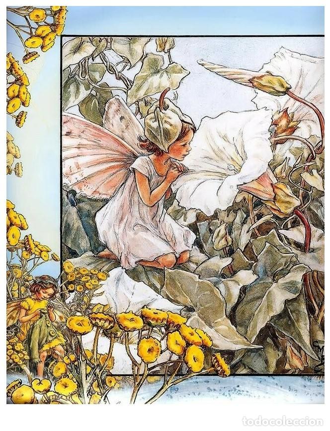 Postcards: 7360B -CICELY MARY BARKER- HADA DE LAS FLORES (FLOWERS FAIRIES) CODE PC 6B10-14,5x10,3 CM - NUEVA