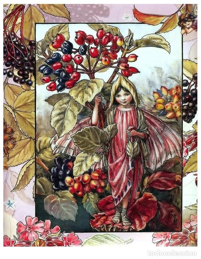 Postcards: 7360B -CICELY MARY BARKER- HADA DE LAS FLORES (FLOWERS FAIRIES) CODE PC 6B12-14,5x10,3 CM - NUEVA