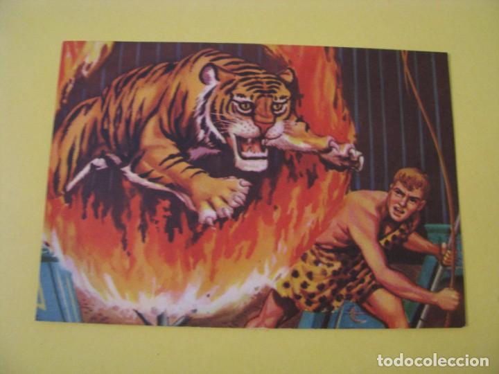 Postcards: POSTAL DE TARJEFHER. N&ordm; 502 LA JUNGLA HUMILLADA. 1965.