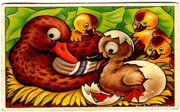 Postais: Postal Danesa - Pata con sus patitos - Con Ojos M&oacute;viles - 138x90 mm.