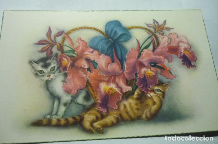 Postcards: postal pintura gatos y flores escrita c y z 504-a cm