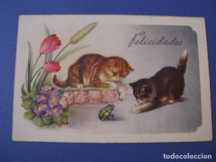 Postcards: POSTAL DE IL. C. VIVES. ED. C. Y Z. 517. ESCRITA. 1956.