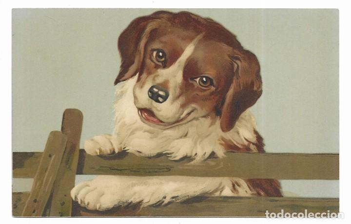 Postais: Postal ilustrada.Dibujos y Caricaturas. N&ordm; 1815 Meissner & Buch. 1910