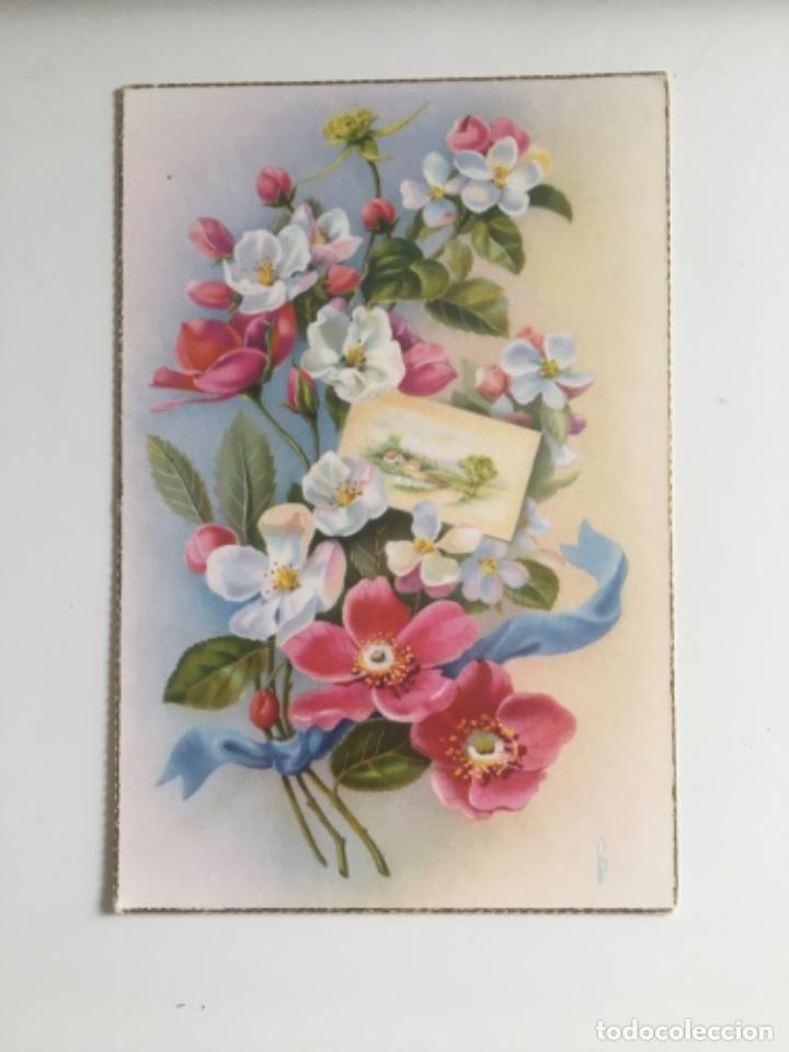 Postais: POSTAL FLORES -CYZ 546/B -SC