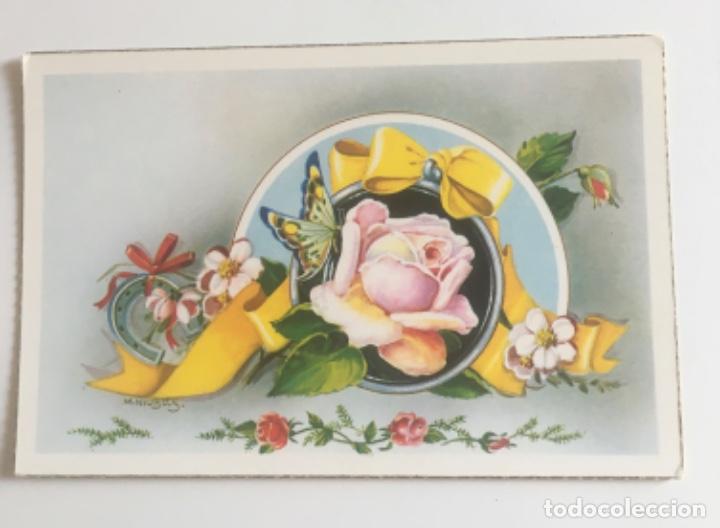 Postais: POSTAL FLORES -NIUB&Oacute;-2126C-SC