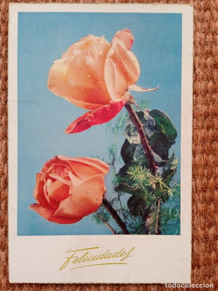Postales: ROSA - Foto 1