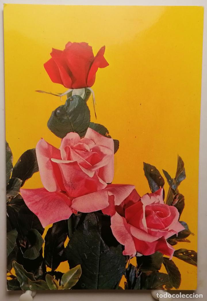 Cartoline: Postal Flores .CyZ .6905. A&ntilde;os 60
