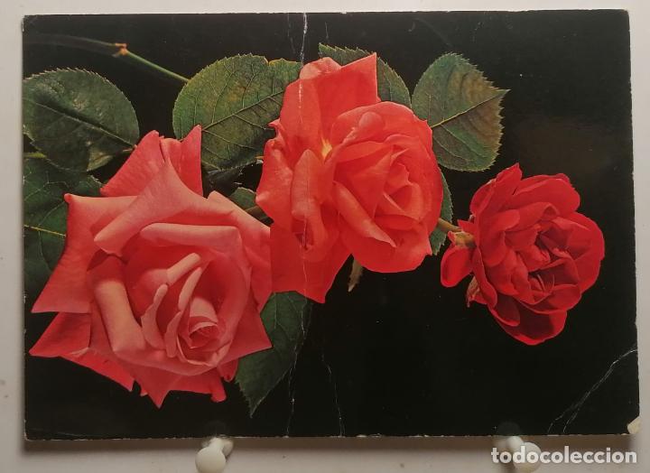 Postais: Postal flores cyz 7324/31 - d