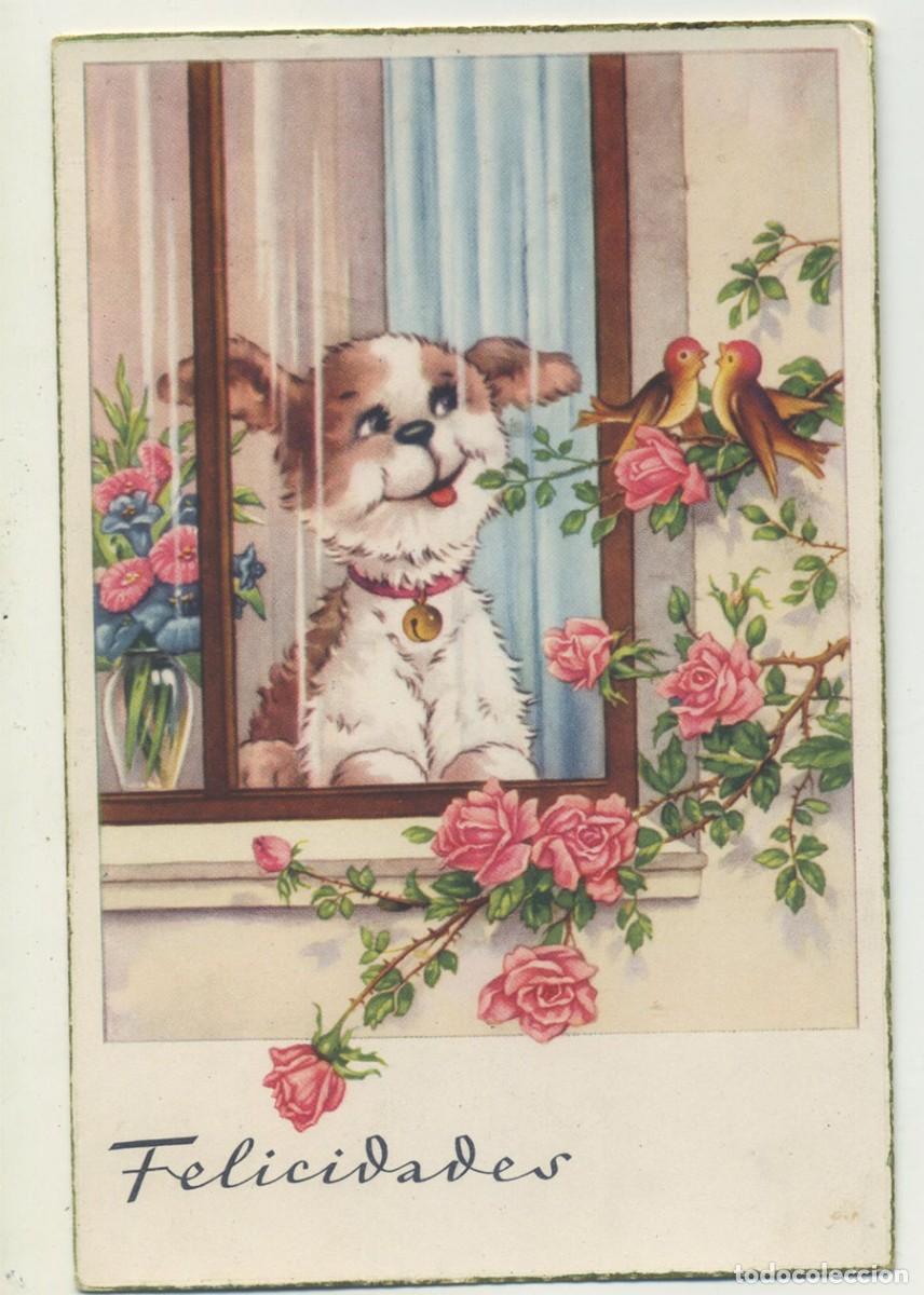 Postkarten: POSTAL ED. CYZ 542 PERRO PAJAROS Y FLORES ESCRITA
