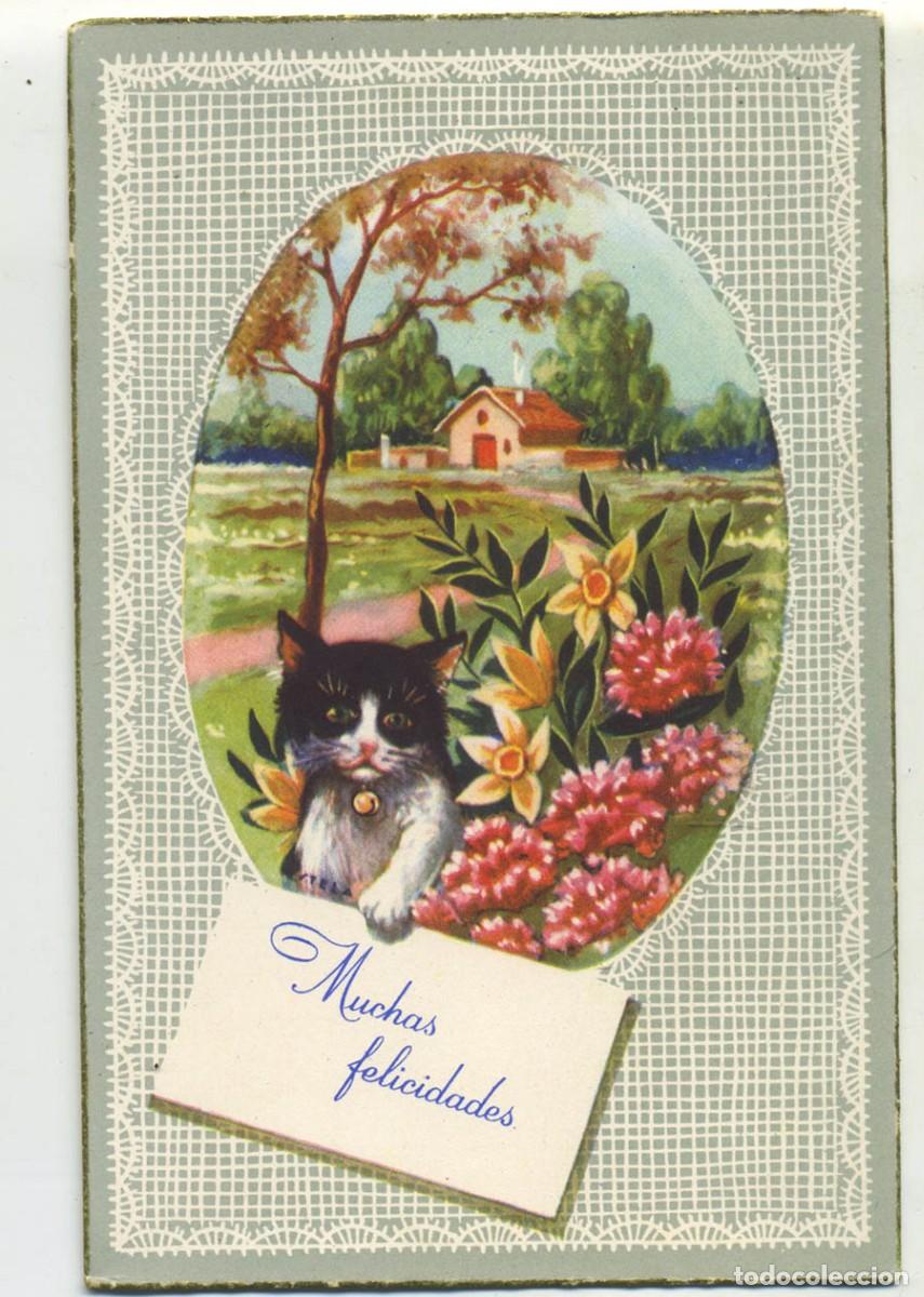 Postkarten: POSTAL MG SERIE 2000 A FELICITACION GATO Y FLORES ESCRITA