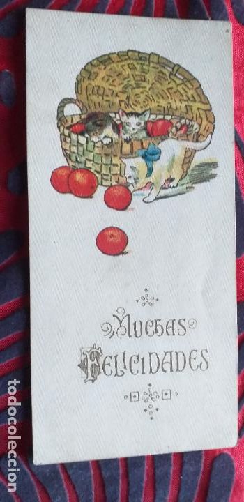 Postkarten: FELICIDADES-V20-TARJETA FELICIDADES-115X55mm.