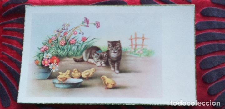 Postkarten: FELICIDADES-V20-TARJETA FELICIDADES-105X60mm-GATOS