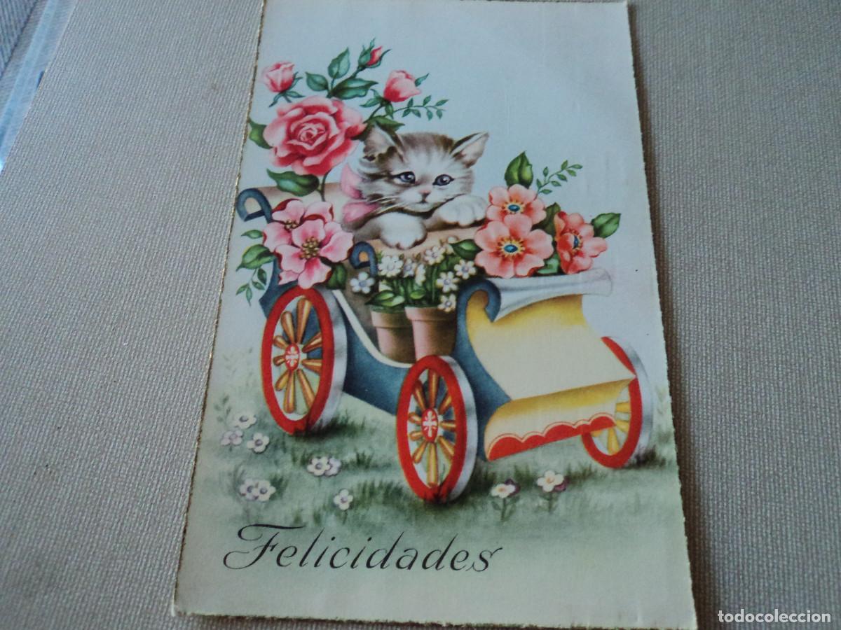 Postais: cyz 566, gato cochecito y rosas, circulada 1954