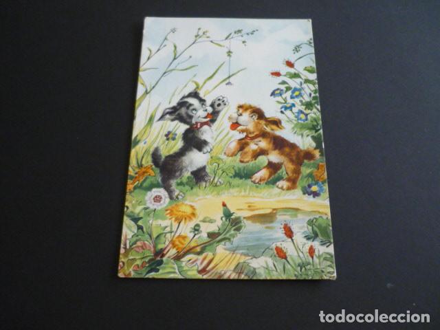 Postales: PERROS JUGANDO POSTAL - Foto 1