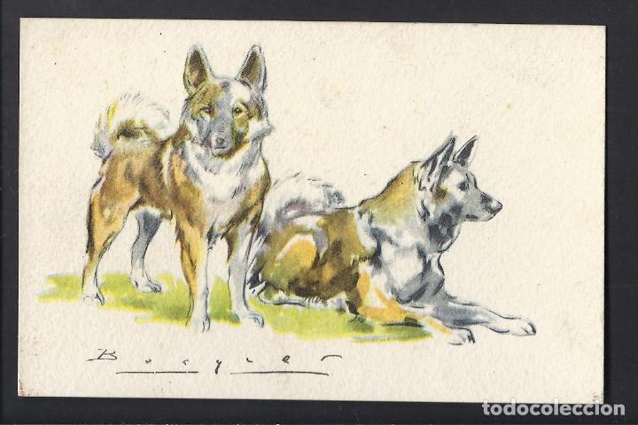 Postales: Tarjeta postal. Perros . Becquer. NoEscrita.